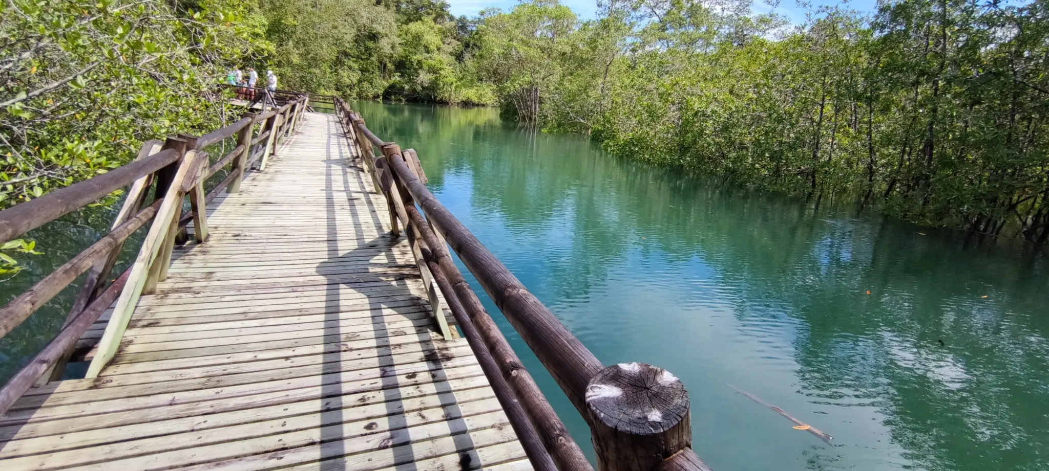 Ensenada de Utría con su característica forma de herradura